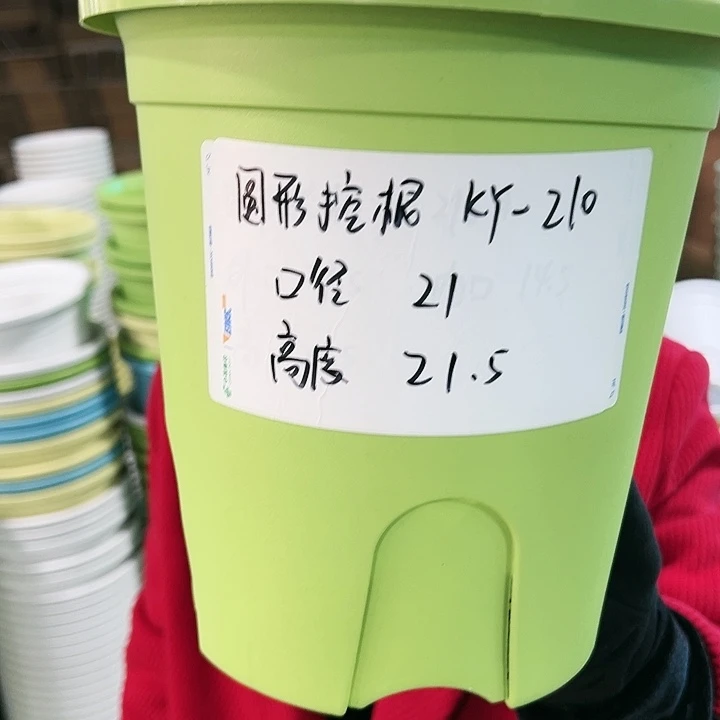 正品圆形控根口21高21果绿色8个无托