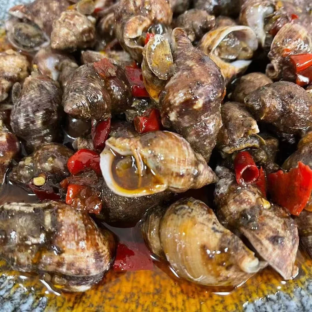 麻辣牛鼻子螺辣卤牛鼻子螺500g辣炒海鲜即食小海鲜（-18°储存）