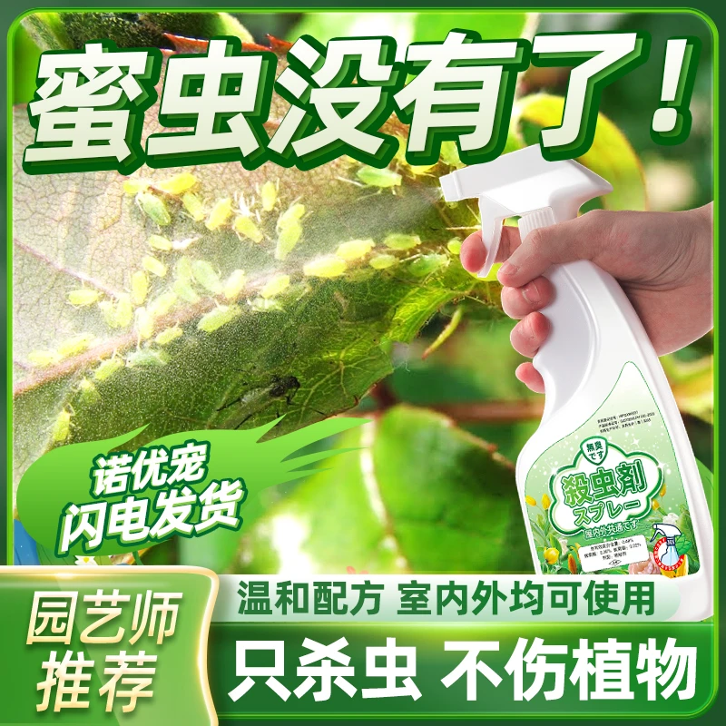 蜜治虫杀虫剂药去虫药杀除打蜜防灭月季花蜜克星驱去除专杀喷剂油