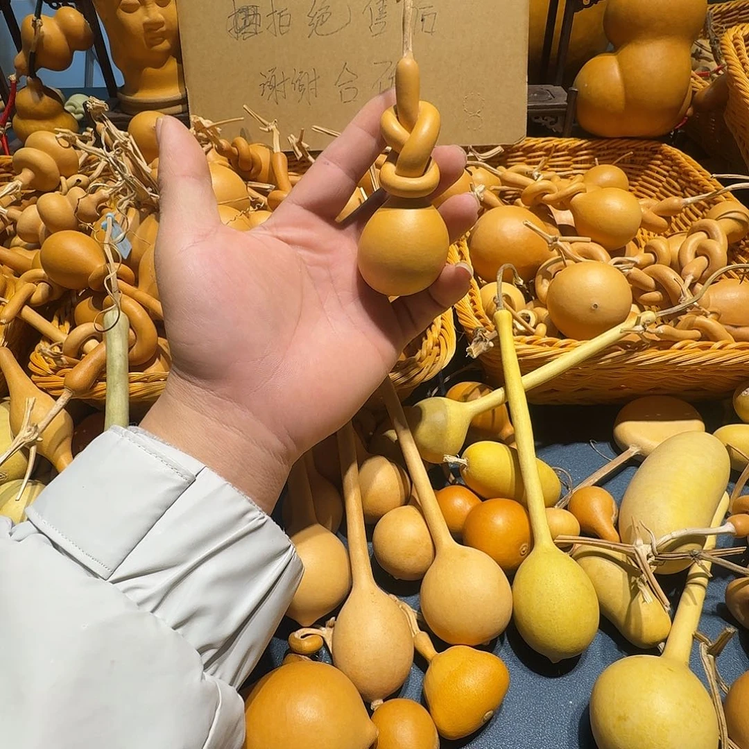 找***星葫芦科动物大红花鱼体