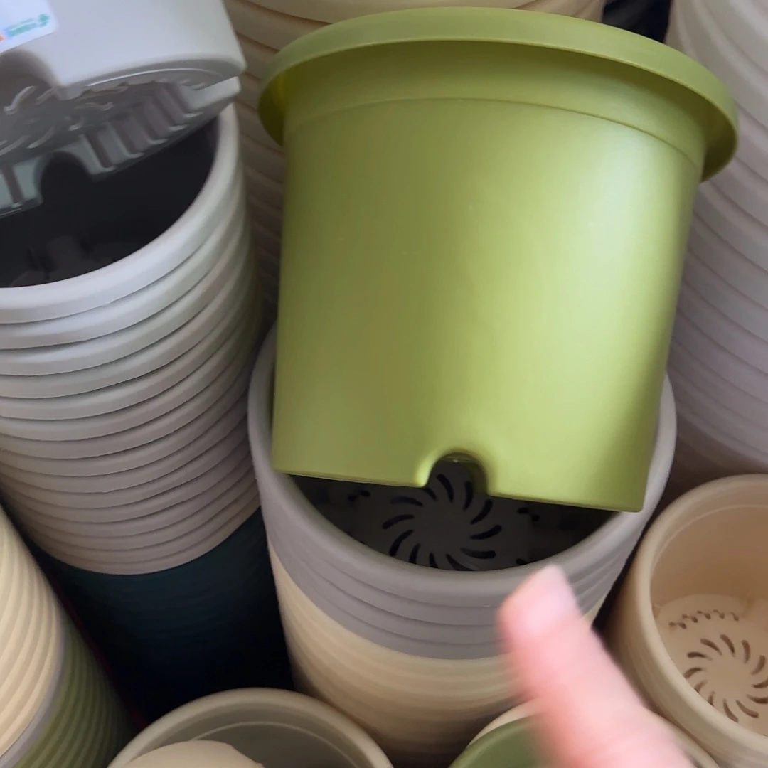 树脂四季3号无托10个果绿微瑕