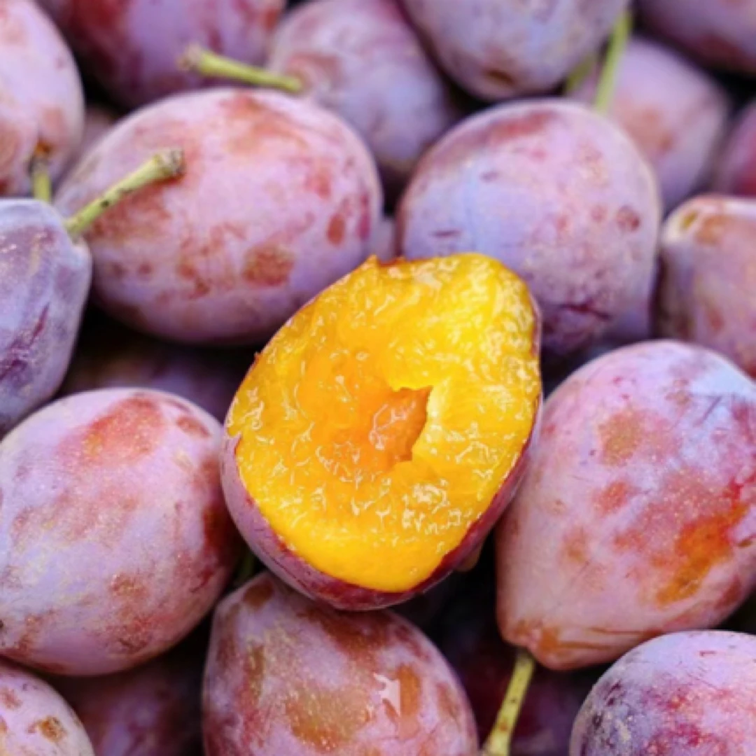 （5公里内58元包邮）西梅约500克