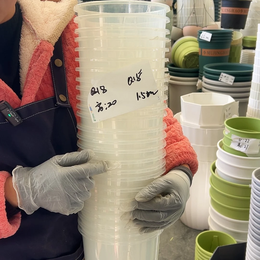 瑕疵Q18#透明10个无托