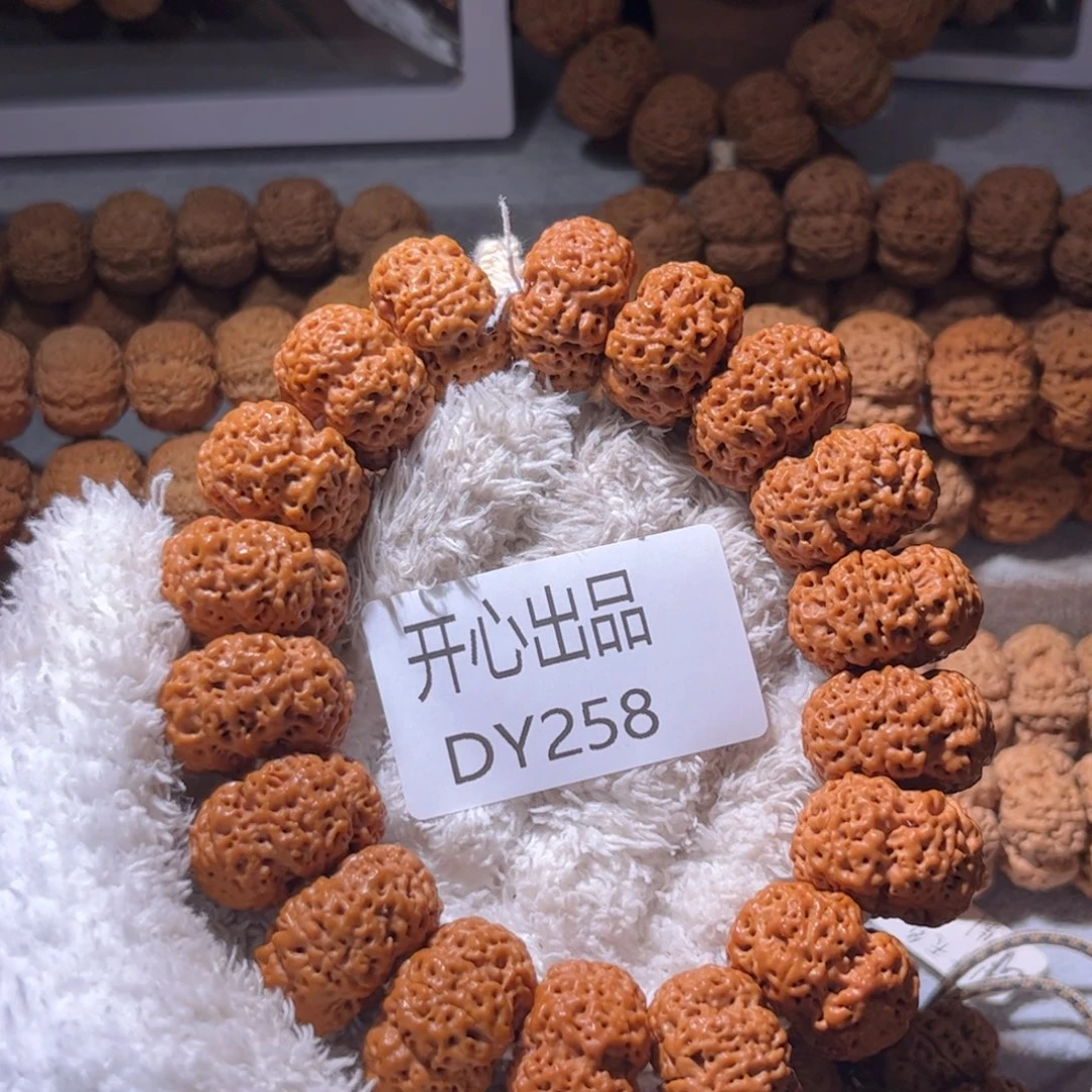 v***奇金刚菩提手串繁星25尺寸