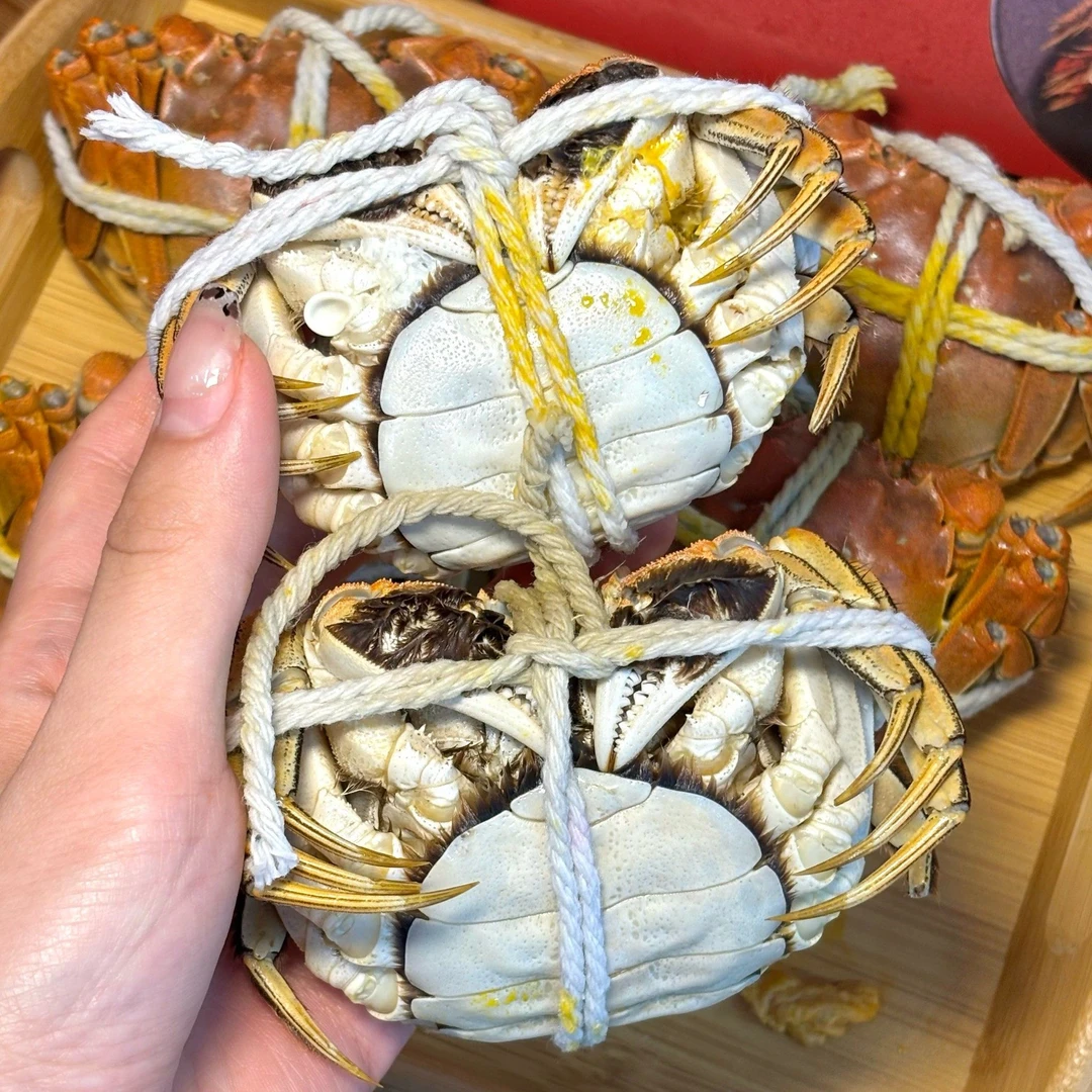 江苏大闸蟹母蟹1.3~1.5两/只共8只