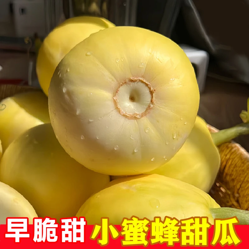 正宗山东小蜜蜂甜瓜星甜20蜜罐甜瓜新鲜水果香瓜脆黄金瓜爆甜大果
