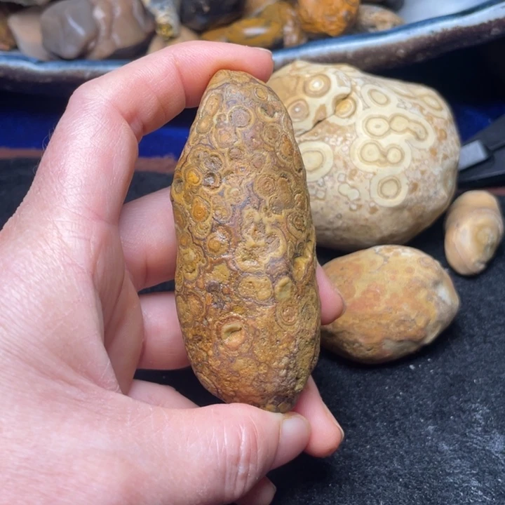 石材九眼页岩奇石16