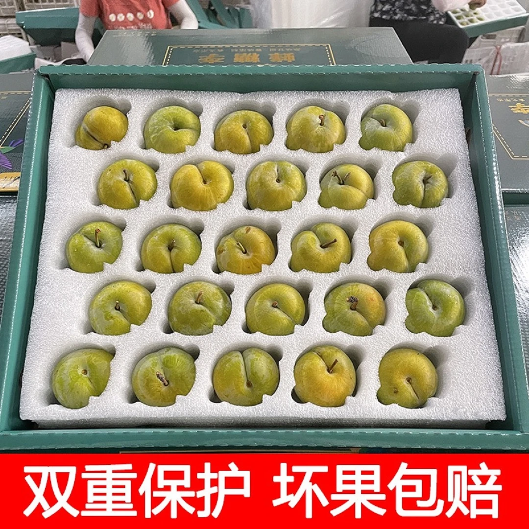 【精美礼盒装】正宗四川脱骨青脆李新鲜水果土李子儿时味道5斤孕妇