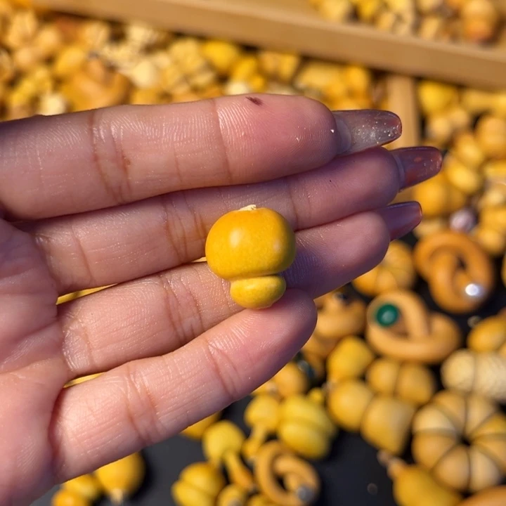 ?***草这么多年过去还是一名