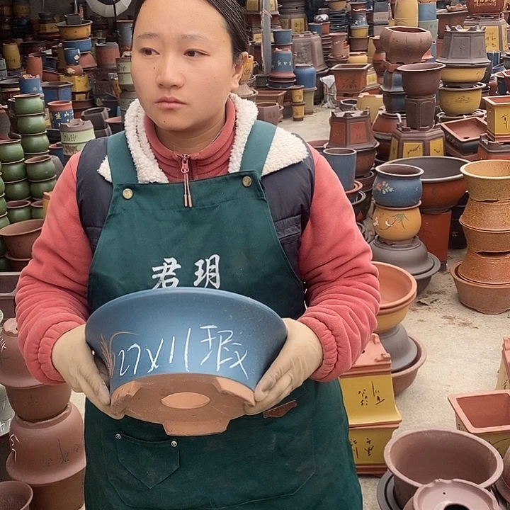 紫砂花盆紫砂花盆盆栽花卉苗木种植