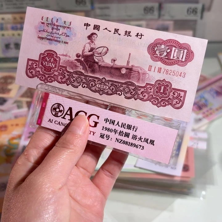 古币拖拉机0000000000000428