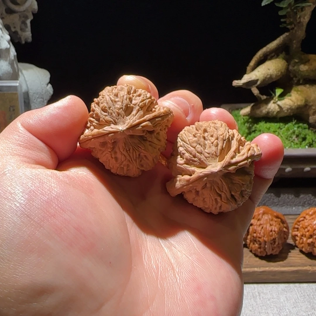 吊坠猴头核桃40白狮子精对