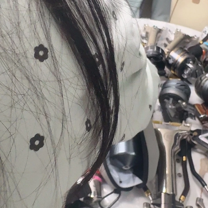 黑鲨40直播间福利