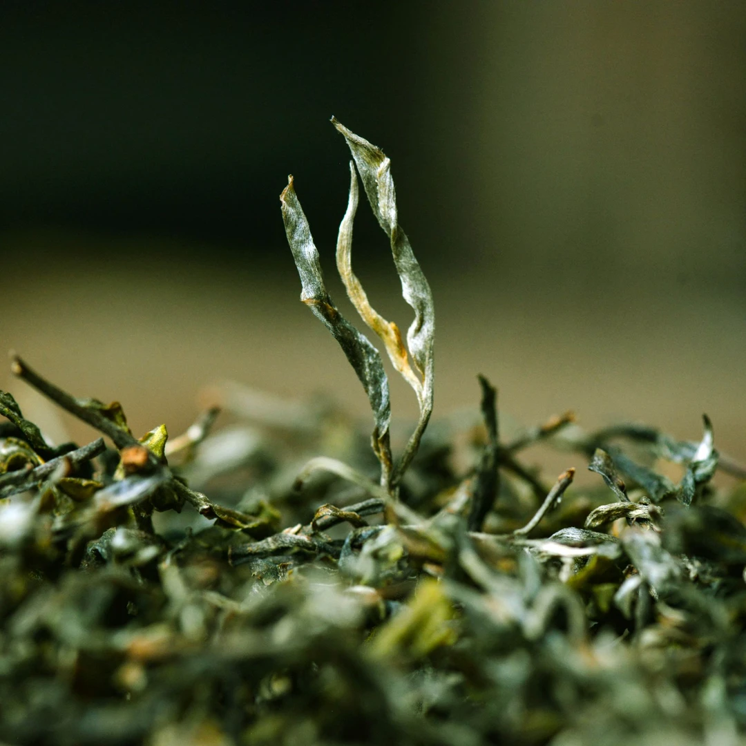 2025年 困鹿山散茶 200克 生茶 春古散茶