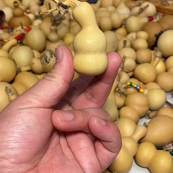 M***瘦精品葫芦手把葫芦18