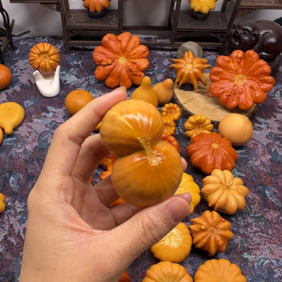 墨西哥葫芦小连体微瑕