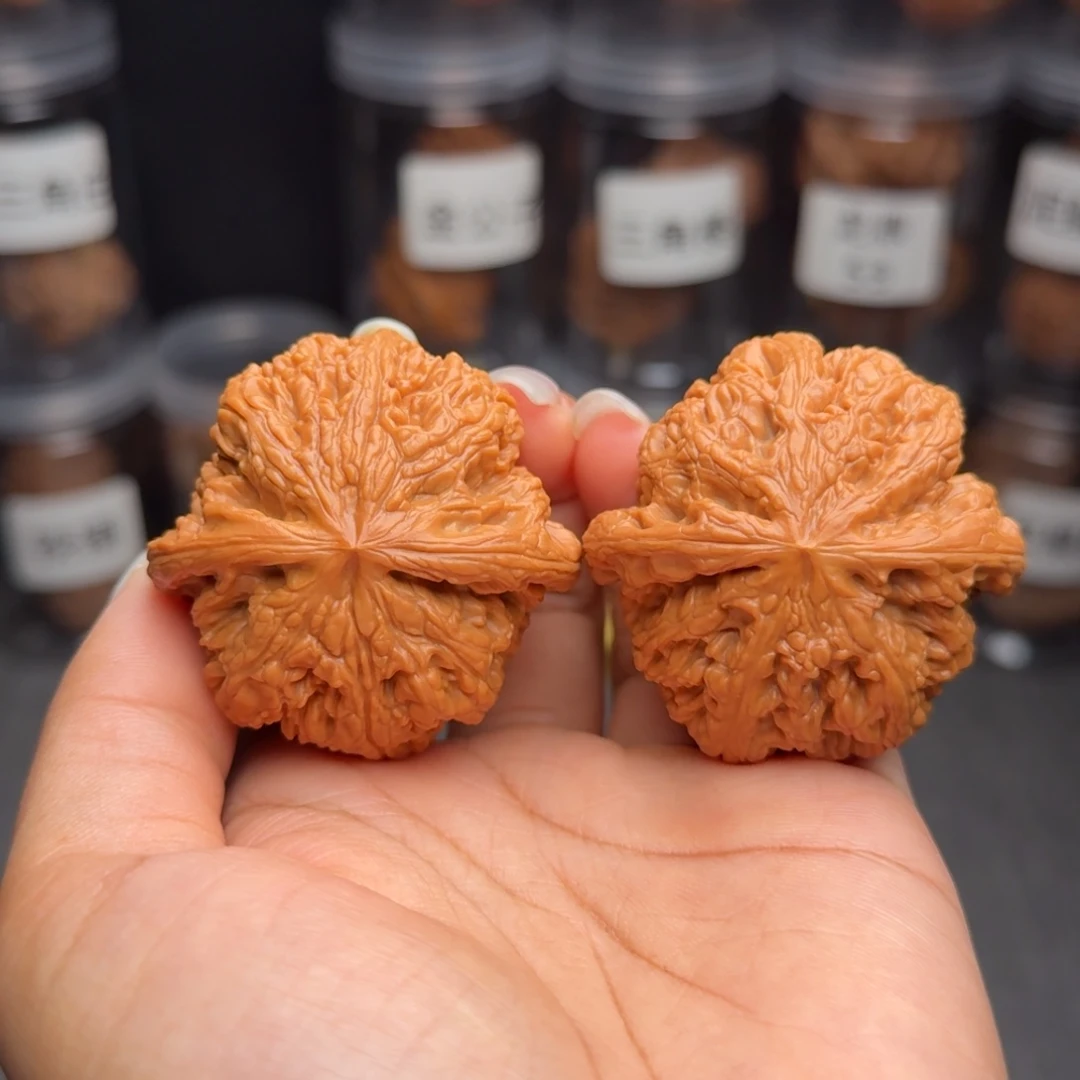 把件文玩核桃大粗筋
