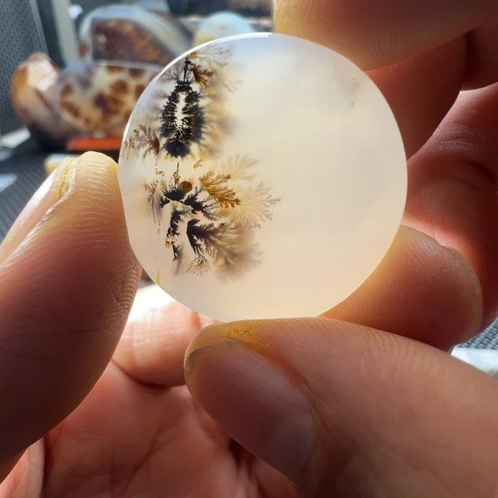 未镶嵌玛瑙/玉髓珠宝奇石