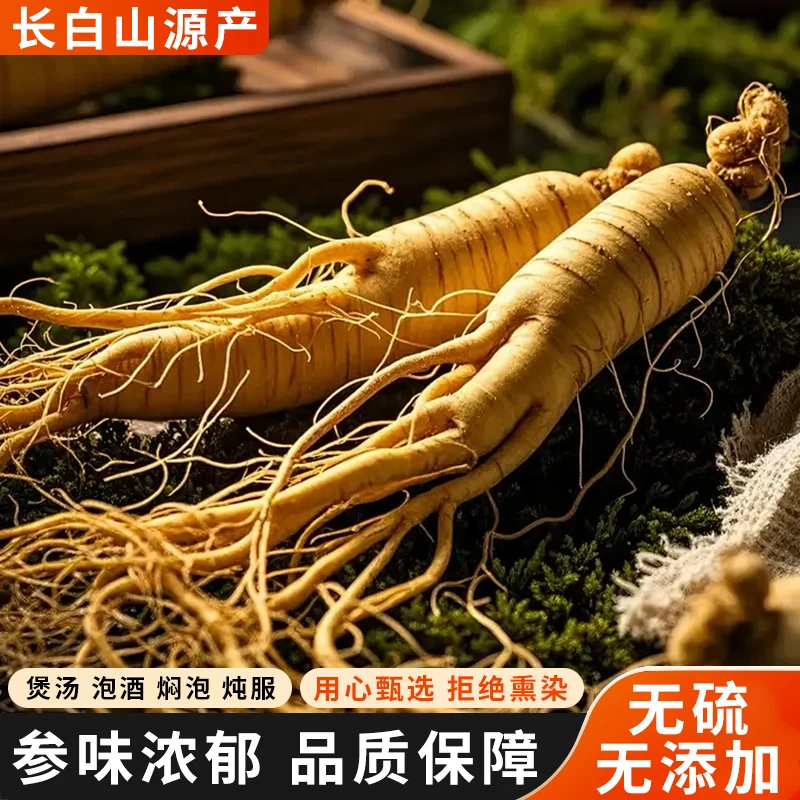 【2支装】长白山 原产地 新鲜人参 单支50-60克 泡酒 熬汤 送人