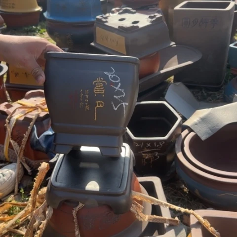 紫砂花盆紫砂花盆盆景盆栽