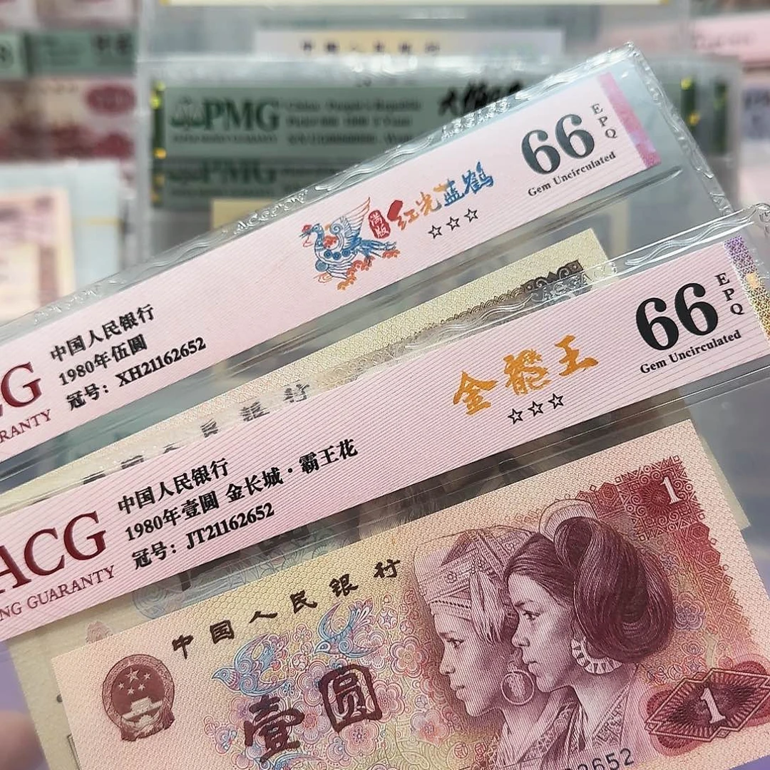 纸21162652。。。全同号805金龙王