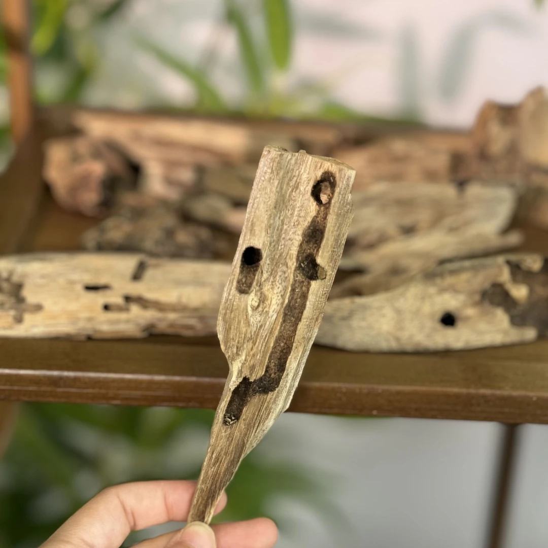 天然海南虫漏沉香香料1g