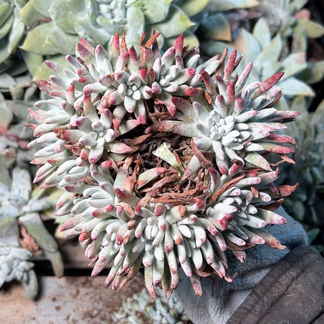 8002哈哈哈哈哈哈哈哈