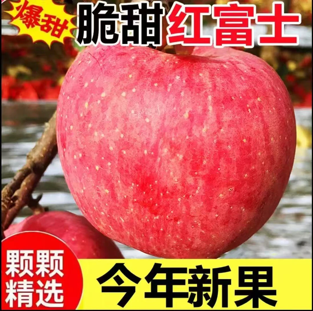 jf正宗陕西高原红富士苹果自带冰糖心脆甜多汁现摘现发