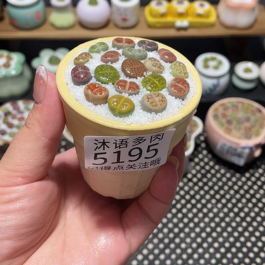 带盆土植物 一物一拍5195