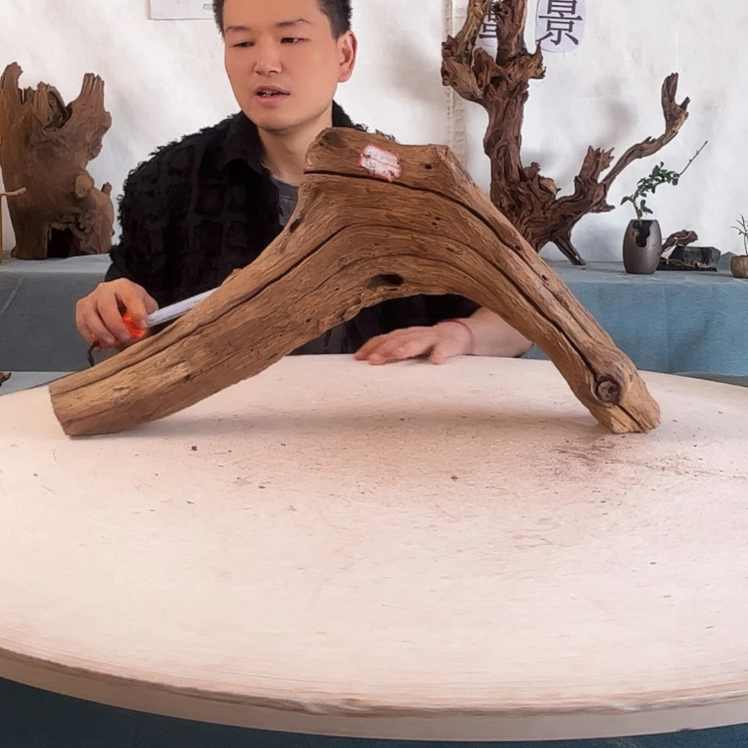 54.27.10 周末福利沉木造景