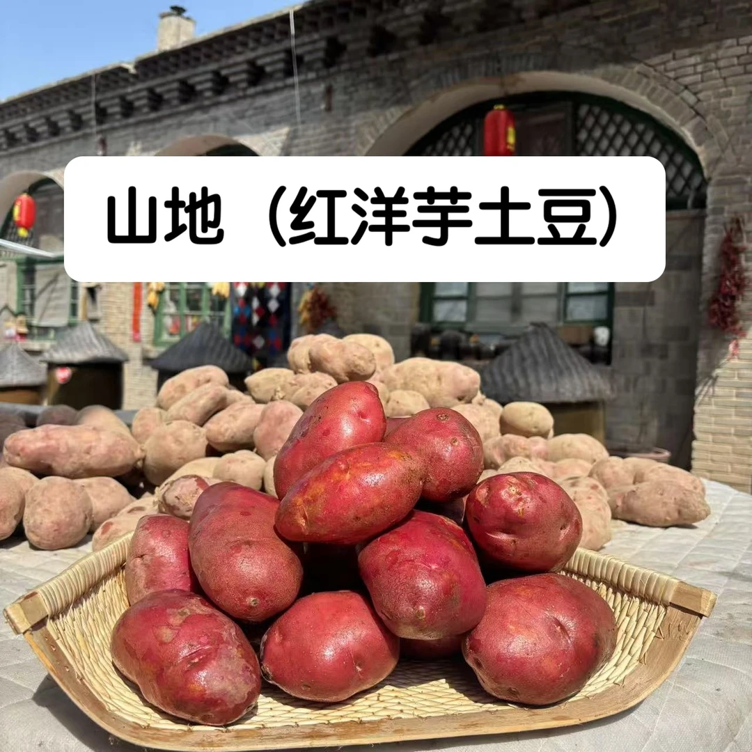 福（山地牛粪红洋芋土豆）沙瓤土豆香 包邮