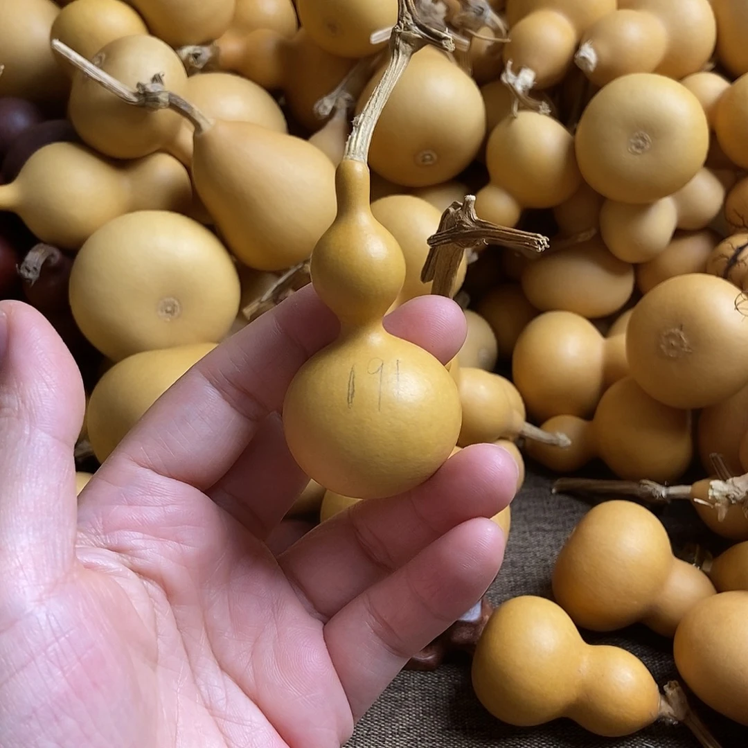 文玩葫芦 非完美主义者 慎拍191