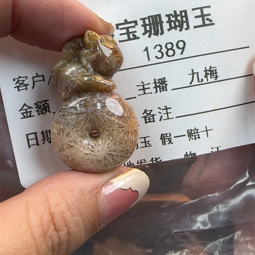 硅化珊瑚（珊瑚玉）未镶嵌颈饰