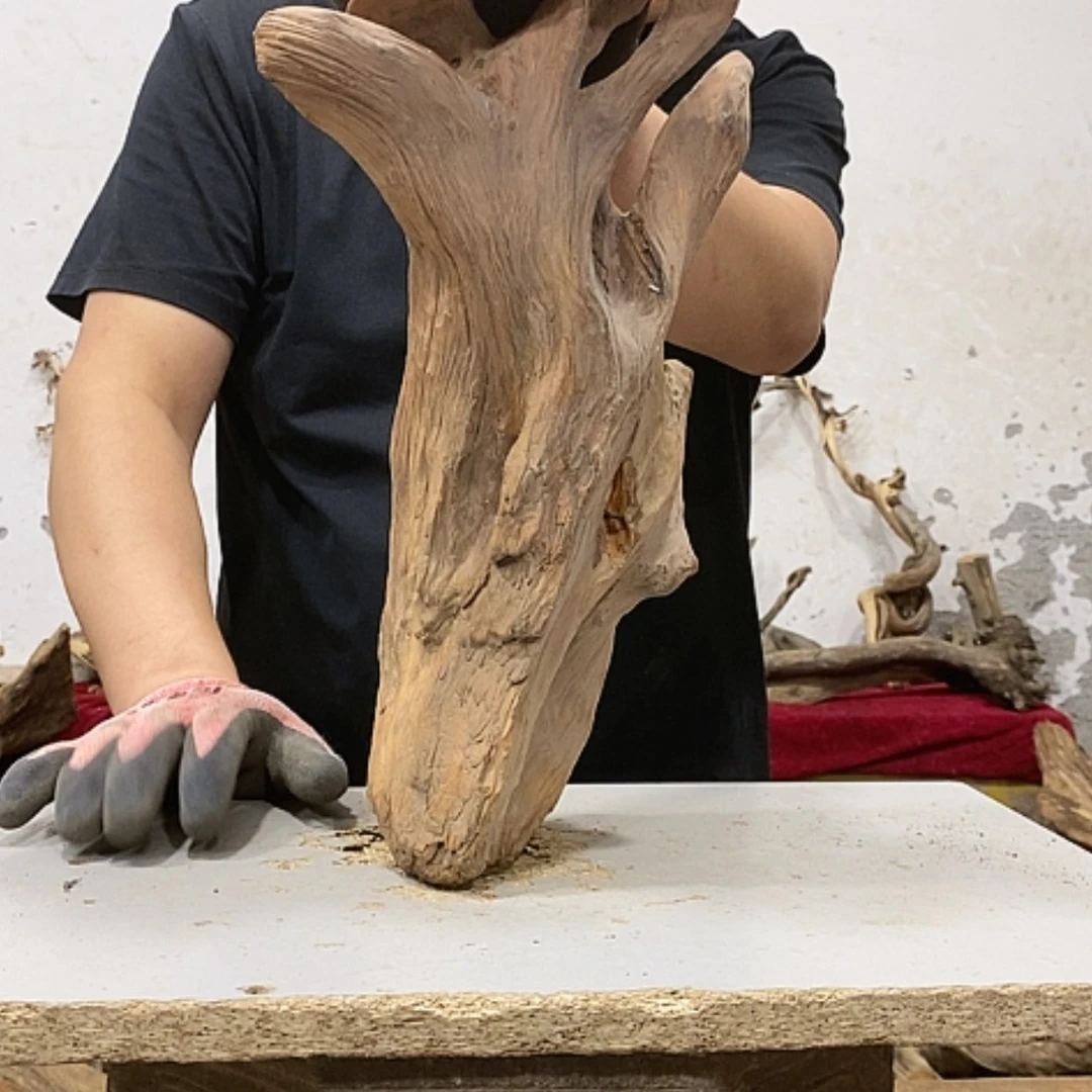 【闪购商品】柏木奇*我们都是好孩子