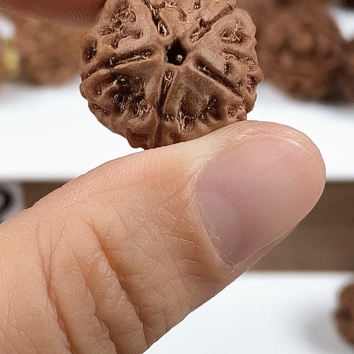 手串金刚菩提原生态精品5瓣
