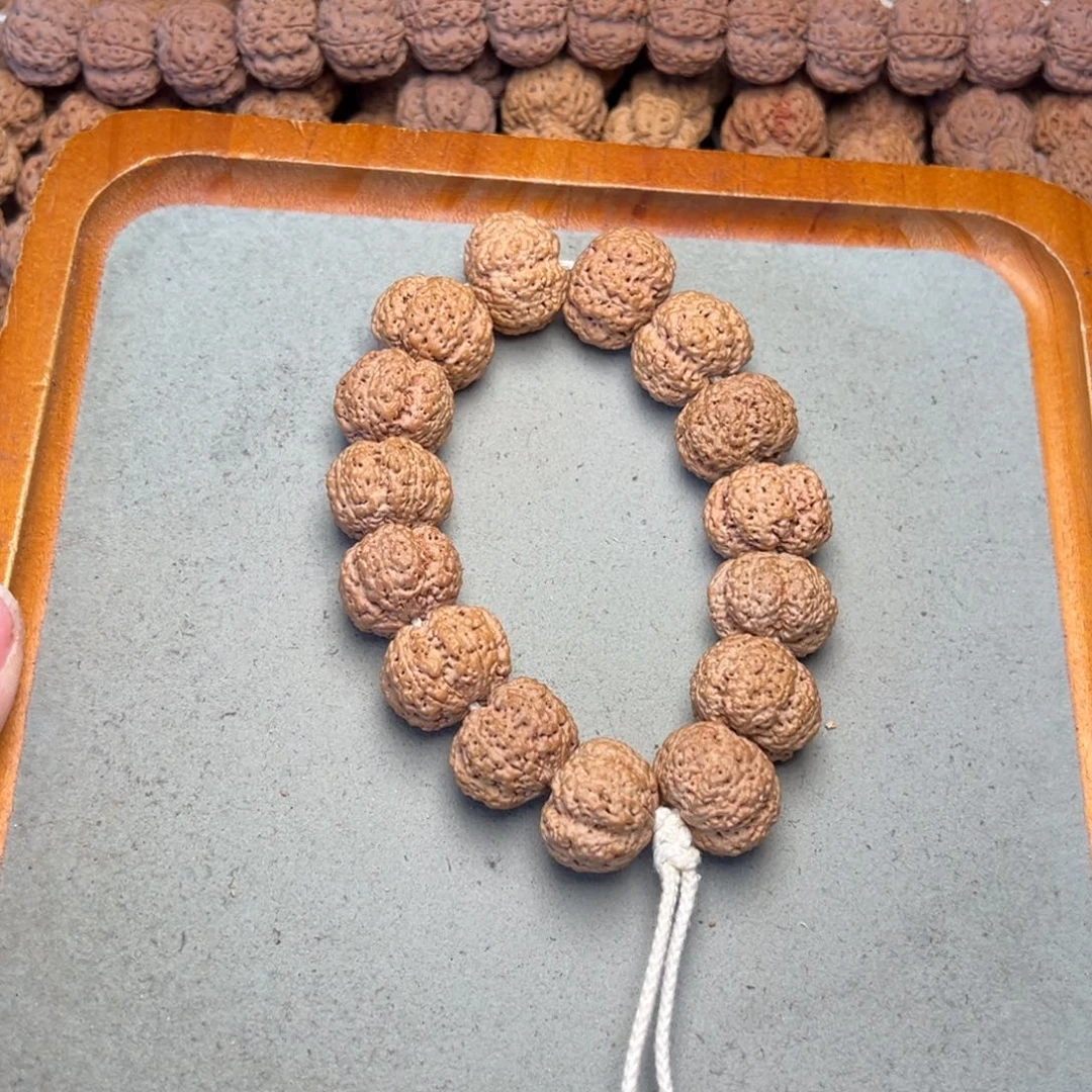 Z***z菩提29号金刚菩提菠萝蜜21