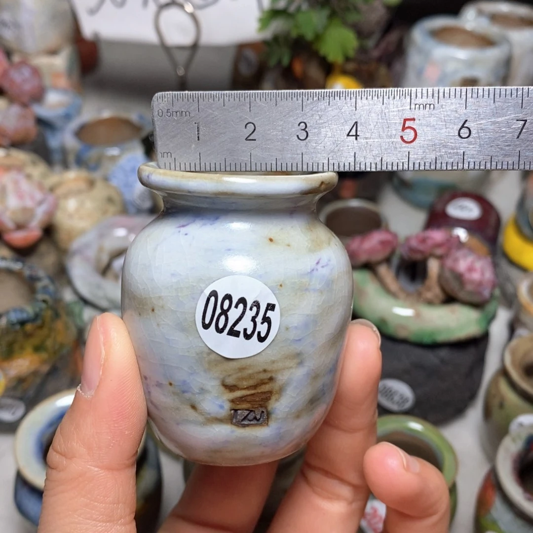 花盆拍5送一个小礼物