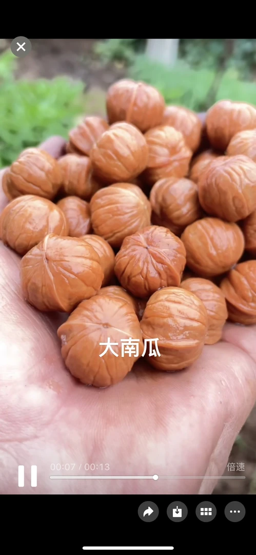 猴头核桃鲨鱼鳍土豪核桃散籽男女佛珠