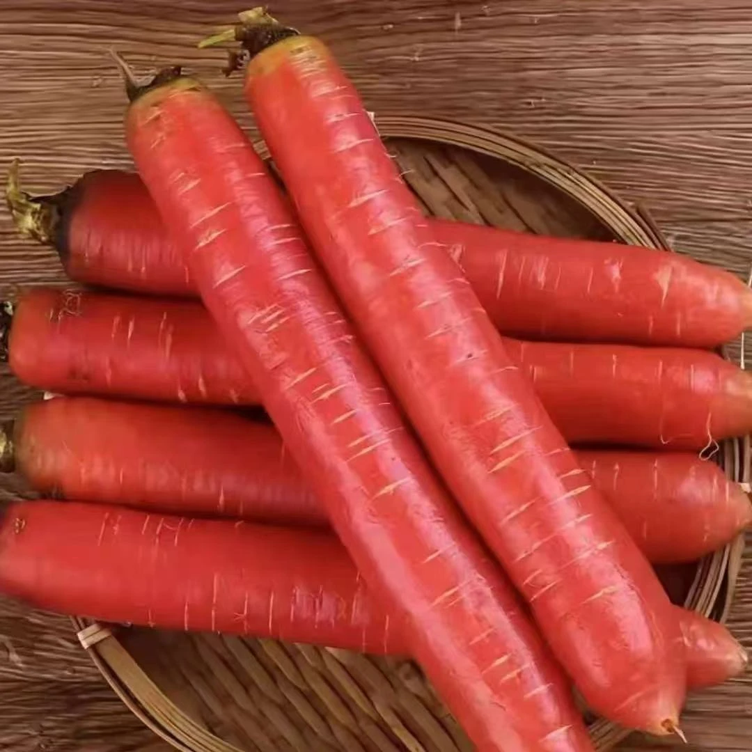 红萝卜4.5斤新鲜胡萝卜新鲜蔬菜水果萝卜农家自种现挖生吃脆甜