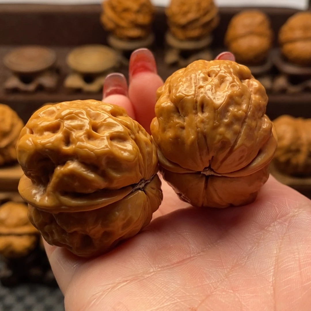 把件文玩核桃41老树金蟾疙瘩包