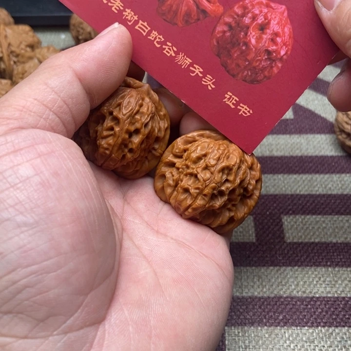 40全品原树白蛇谷