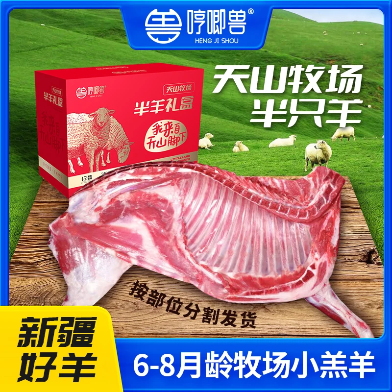 新疆半只羊礼盒 羔羊肉前腿羊蝎子后腱切块5斤  8斤  10斤规格