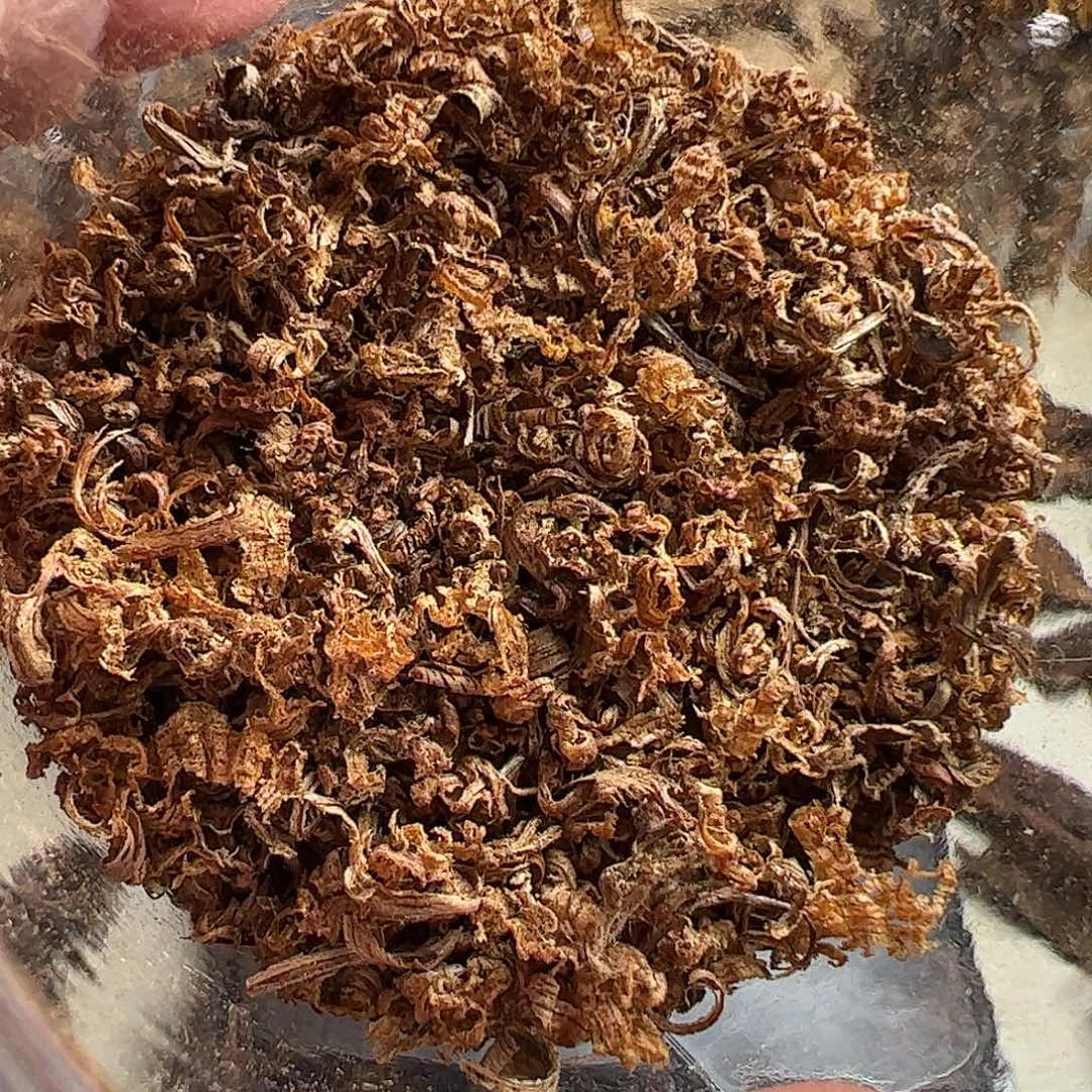 沉香沉香碎屑达拉干沉水勾丝2克