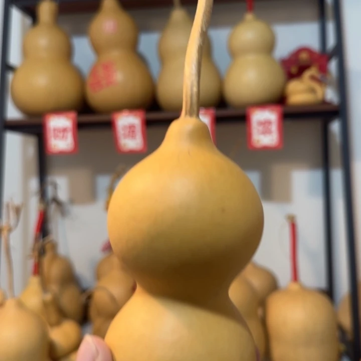 五五肚葫芦葫芦度