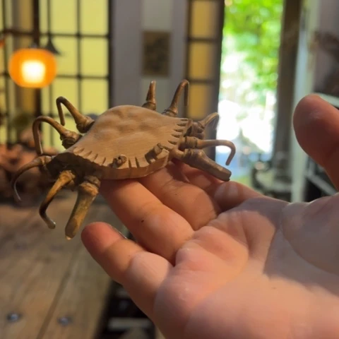 茉***浅天天开心时时快乐