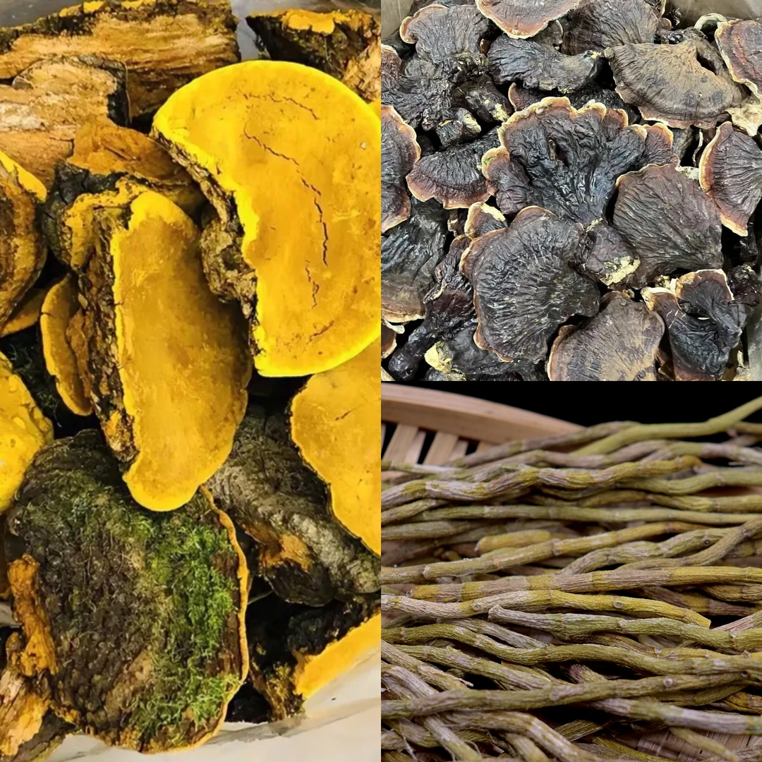 云南山货【灵芝三宝茶】高山滋补佳品娜娜