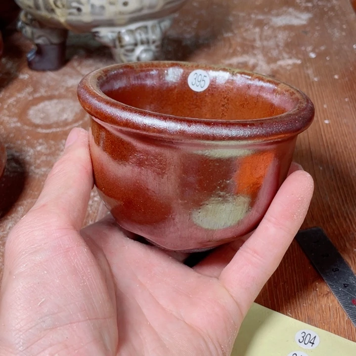 茶宠盏盏都是我的爱啊