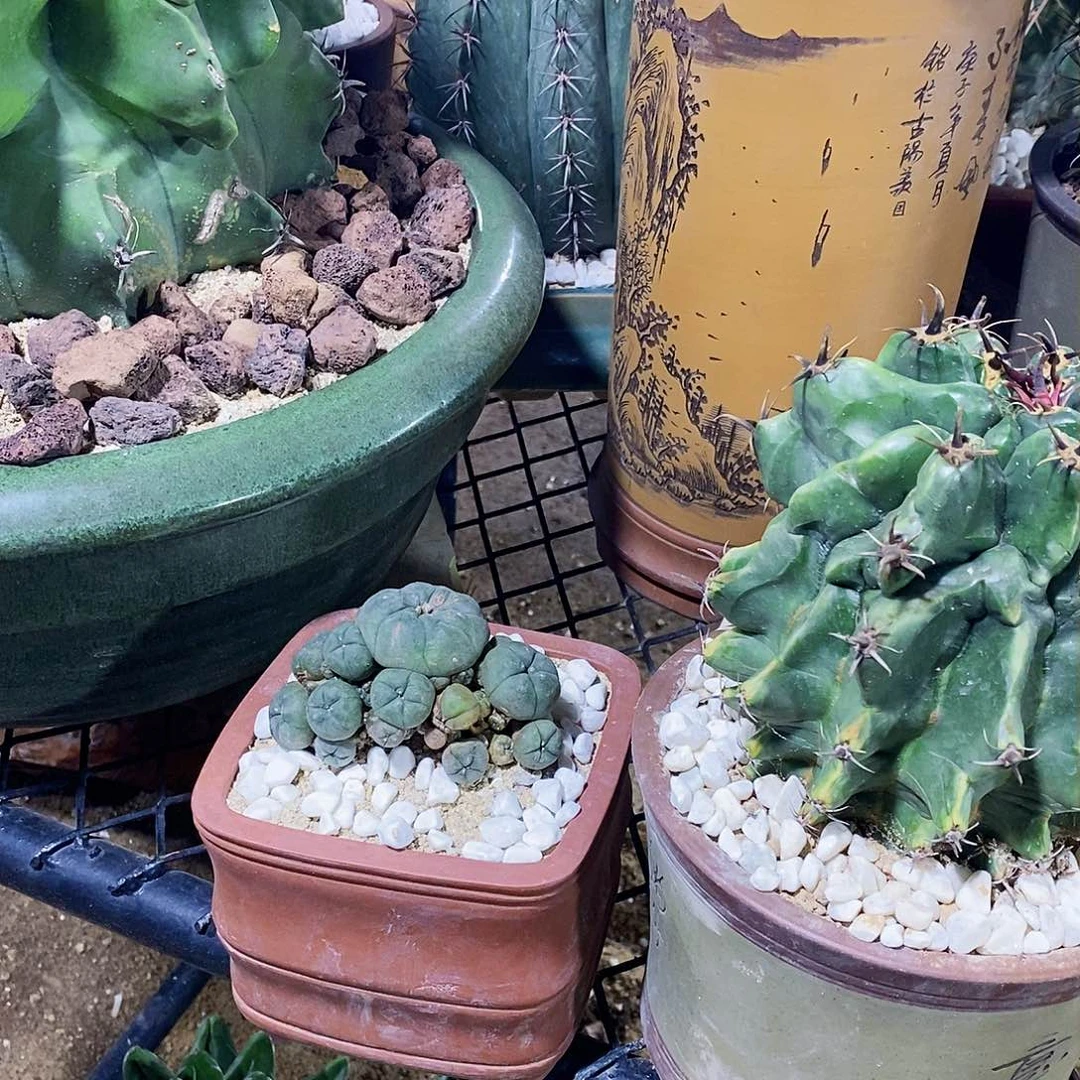 爱***儿0000000000000000000