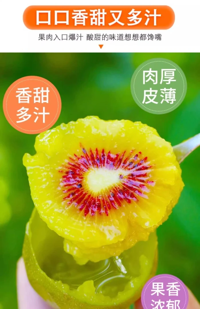红阳猕猴桃现摘现发