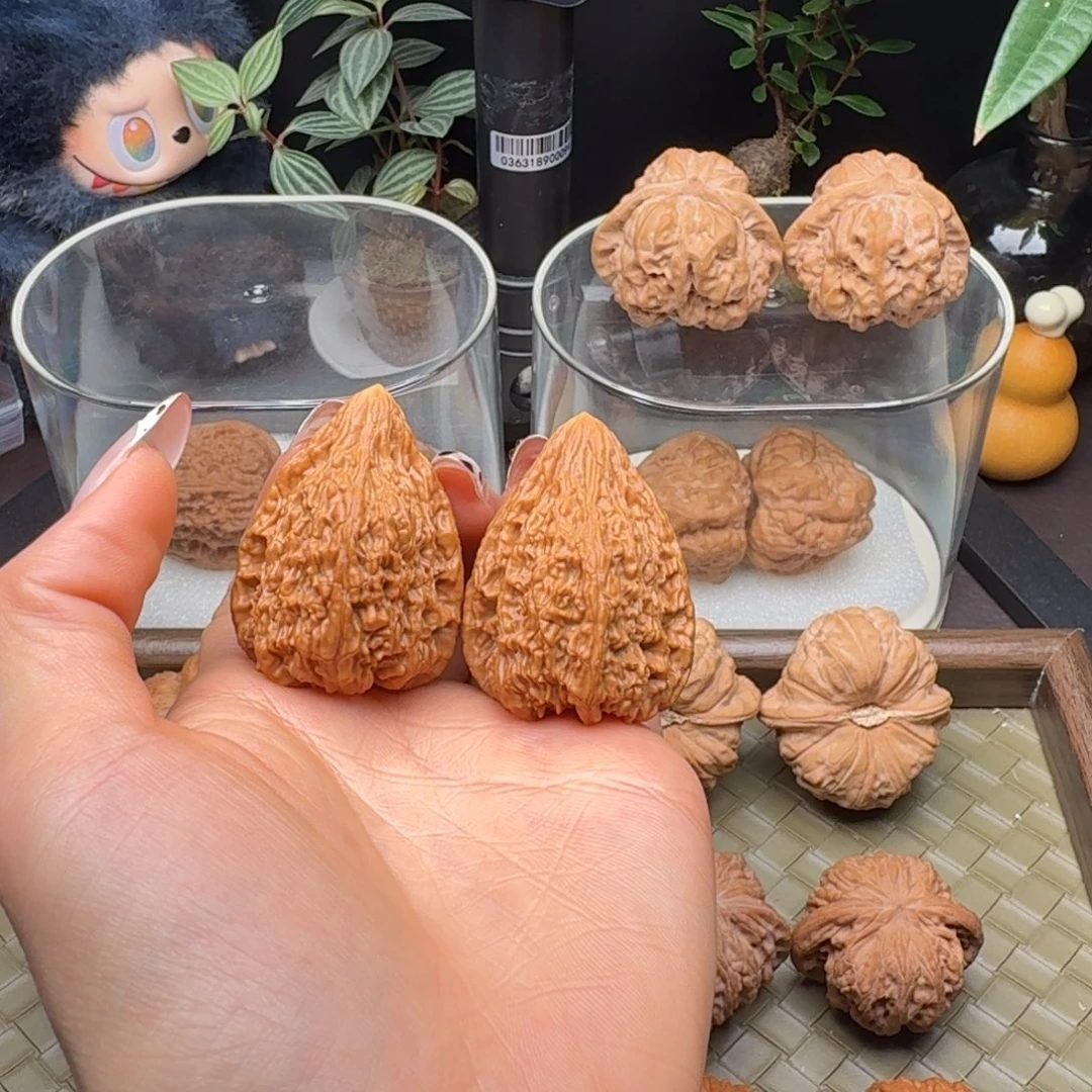 龙脊菩提把件塔尖正（微修打底）33